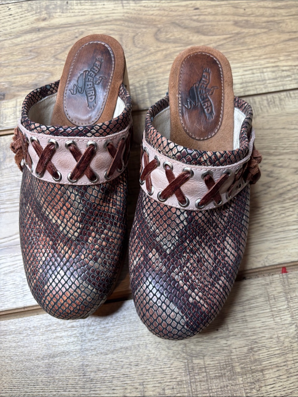 Freebird by Steven Woodstock Brown Snakeskin-Print Leather Platform Clogs Size 9
